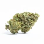 cannabis shop online