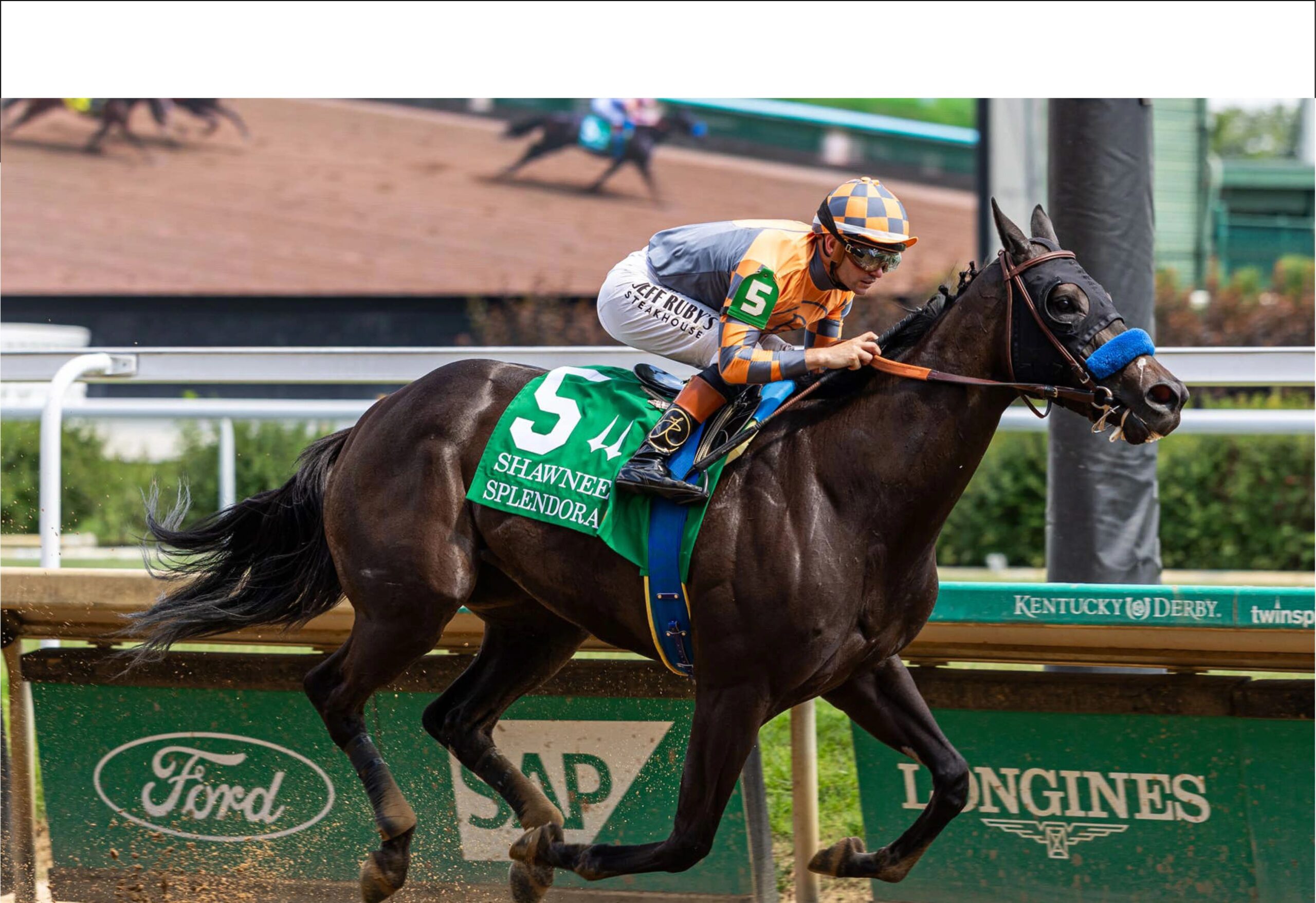 horse racing silks